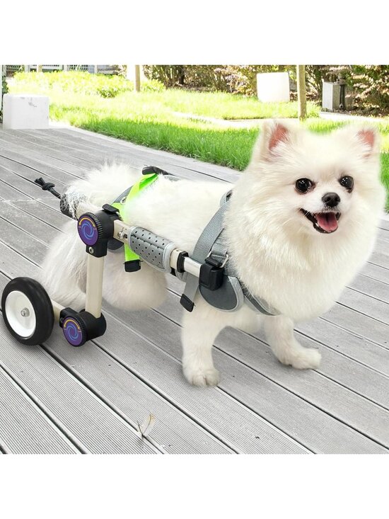 Other - NIB XS SZ 2 LetPetRun Dog Wheelchair for Back Legs, Adjustable Mobility Cart